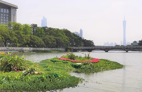 湖泊環境治理達至人水和諧的技術思路｜廣州東山湖生態修復訪談錄