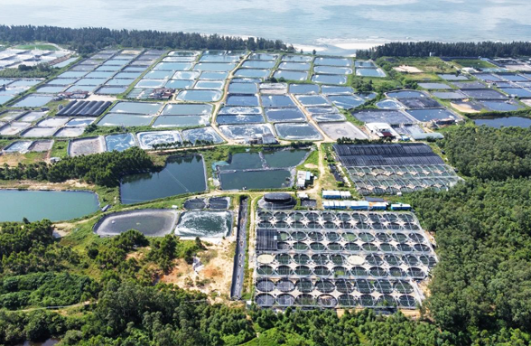 我司中標陽江市陽西縣海水養殖尾水治理示范項目的設計服務